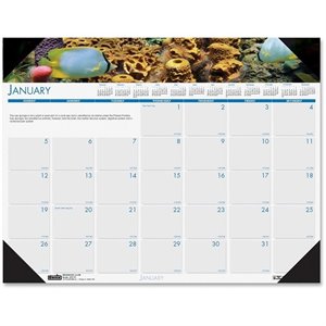 House of Doolittle Earthscapes Sea Life Desk Pad Calendar