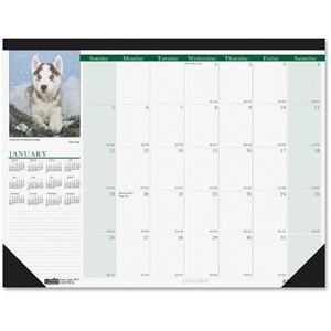 House of Doolittle Earthscapes Puppies Desk Pad Calendar