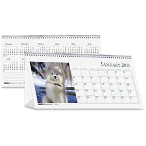 House of Doolittle Puppies Desktop Tent Calendar