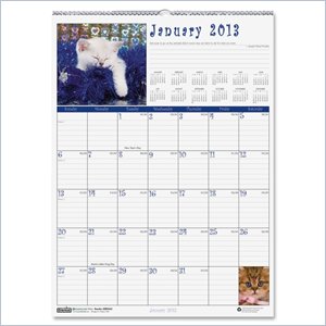 House of Doolittle Earthscapes Kittens Wall Calendar