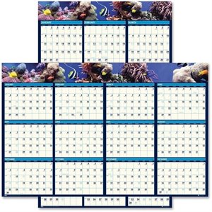 House of Doolittle Sea Life Two Sided Laminated Planner
