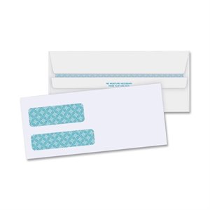 Business Source Double Window Envelope
