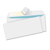 Business Source Business Envelopes