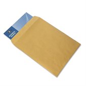 Business Source Plain Cataloge Envelope