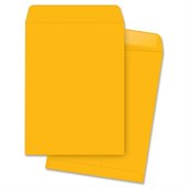Business Source Plain Cataloge Envelope