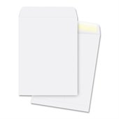 Business Source Plain Cataloge Envelope
