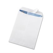 Business Source Removable Strip Catalog Envelopes