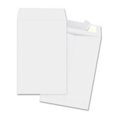 Business Source 65699 Document Mailer