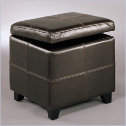 Armen Living Sylvester Storage Ottoman