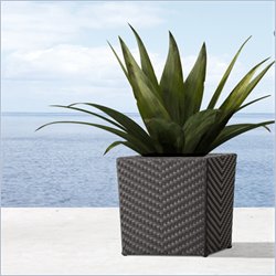 Zuo Cancun Short Planter