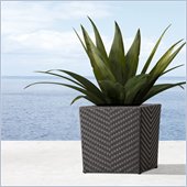 Zuo Cancun Short Planter 