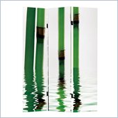 Zuo Bamboo Folding Screen in Multicolor