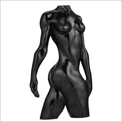Zuo Modelo Wall Sculpture in Black