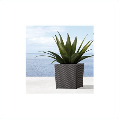 Zuo Cancun Short Planter 
