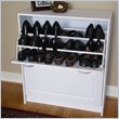 4D Concepts Deluxe Double Shoe Cabinet
