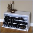 4D Concepts Deluxe Single Shoe Cabinet