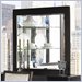 Somerton Shadow Ridge Modern Beveled Mirror in Chocolate