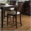Somerton Brazilia Coastal Bar Stool in Dark Brown