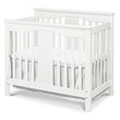 ADD TO YOUR SET: DaVinci Annabelle Mini 2-in-1 Convertible Wood Baby Crib in White