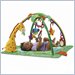 Fisher Price Rainforest Melodies & Lights Deluxe Gym