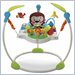 Fisher Price Precious Planet Jumperoo