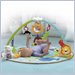 Fisher Price Precious Planet Deluxe Musical Activity Gym
