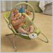 Fisher Price Precious Planet Green Meadows Bouncer