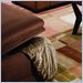 Simmons Upholstery Jaguar Storage Ottoman in Mocha
