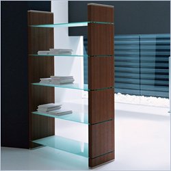 Modloft Barclay 5 Shelf Glass and Wood Bookcase in Walnut