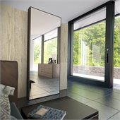 Modloft Greene Mirror in Wenge