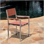 Vifah Stainless Steel Frame Wood Composite Armchair (Set of 2)