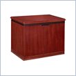 ADD TO YOUR SET: DMi Americus 2 Door Storage Unit