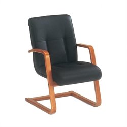 DMi Belmont Executive Leather Guest Chair