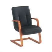 DMi Belmont Executive Leather Guest Chair