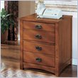 ADD TO YOUR SET: DMi Midlands 2 Drawer Vertical Wood File in Cured Oak