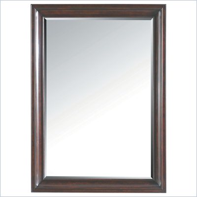 Stanley Furniture Transitional Landscape Mirror Polished in Sable