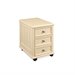 American Drew Camden Mobile 2 Drawer Wood File Cabinet in Buttermilk