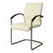 Pastel Furniture Akasha Arm Dining Chair in Ivory/Wenge Veneer