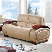 Global Furniture USA A223 Bonded Leather Loveseat in Cappuccino