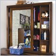 ADD TO YOUR SET: Lea Elite Expressions Kids Cabinet Mirror in Root Beer Cherry Finish
