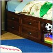 ADD TO YOUR SET: Lea Deer Run Captain's Bed Box