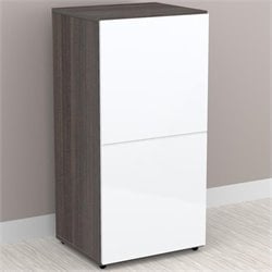 Nexera Allure 1-Door Storage Module in White Lacquer & Ebony