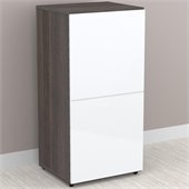 Nexera Allure 1-Door Storage Module in White Lacquer & Ebony