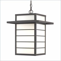 Minka Lighting Artico 1 Light Indoor/Outdoor Chain Hung The Great Outdoors in Black with Etched White Glass