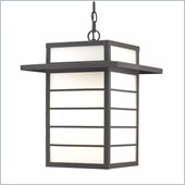 Minka Lighting Artico 1 Light Indoor/Outdoor Chain Hung The Great Outdoors in Black with Etched White Glass