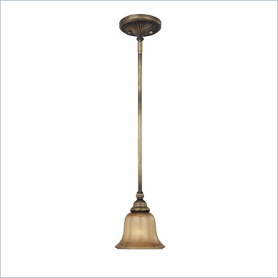 Minka Lighting La Cecilia 1 Light Mini Pendant Minka Lavery in Patina Iron with Spumanti Lace Glass