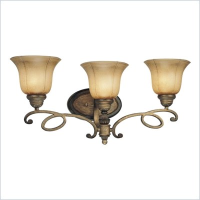 Minka Lighting La Cecilia 3 Light Bath Minka Lavery in Patina Iron with Spumanti Lace Glass