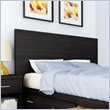 ADD TO YOUR SET: Sonax Willow Panel Headboard in Ravenwood Black