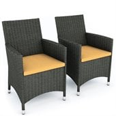 Sonax Cascade Two Chair Set in River Rock Black Weave