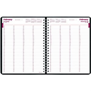 Brownline Professional Daily Appointment Book